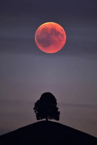 Bloodmoon, total lunar eclipse, double exposure with tree on moraine hill, Hirzel