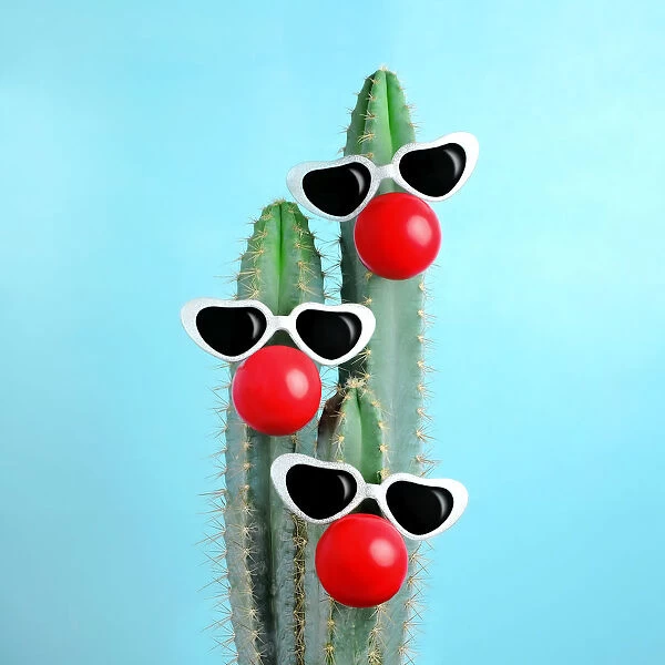 blue cactus decorated with sunglasses and clown nose