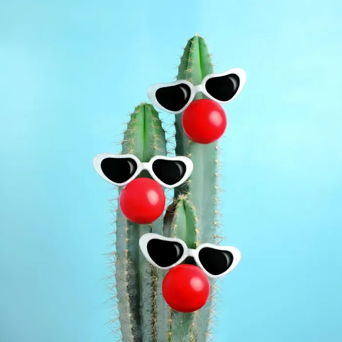 Framed Print : blue cactus decorated with sunglasses and clown nose Framed Print : blue cactus decorated with sunglasses and clown nose