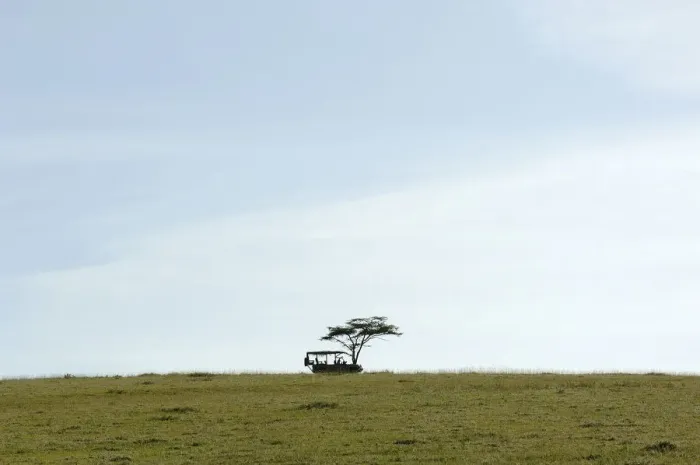 Framed Print : Blue, Cloud, Copy Space, Grass, Horizon Over Land, Land Vehicle, Landscape, Peacefulness Framed Print : Blue, Cloud, Copy Space, Grass, Horizon Over Land, Land Vehicle, Landscape, Peacefulness