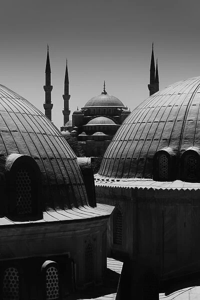 Blue Mosque in black and white tone