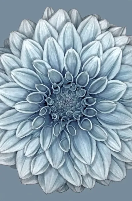 Framed Print : Blue Nunton Framed Print : Blue Nunton