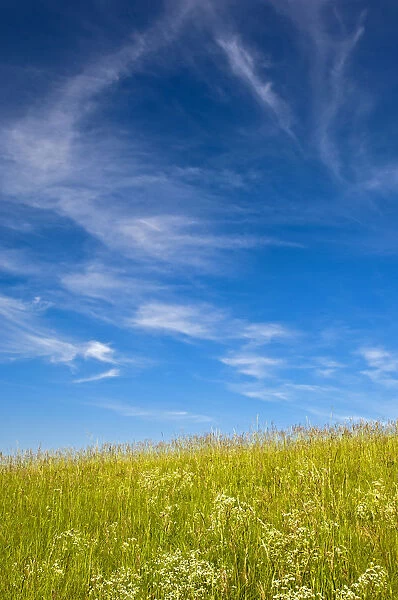Blue sky with cirrus clouds above a summer meadow, Baden-Wurttemberg, Germany