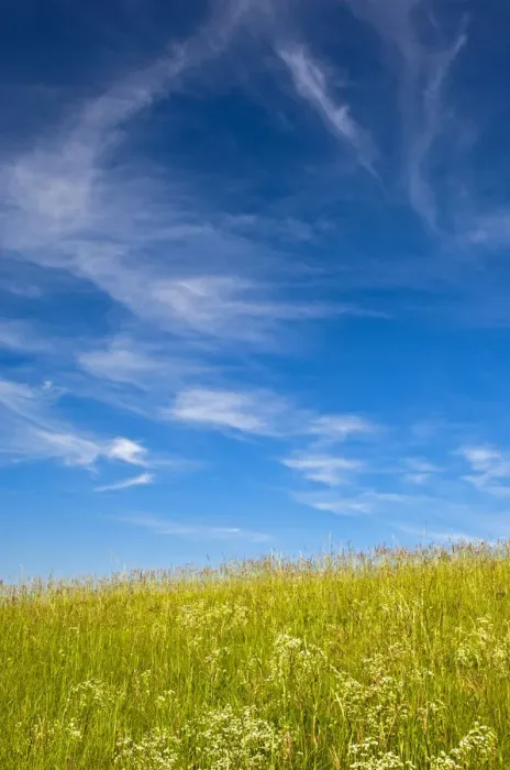 Framed Print : Blue sky with cirrus clouds above a summer meadow, Baden-Wurttemberg, Germany Framed Print : Blue sky with cirrus clouds above a summer meadow, Baden-Wurttemberg, Germany