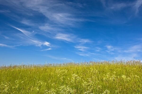 Blue sky with cirrus clouds above a summer meadow, Baden-Wurttemberg, Germany