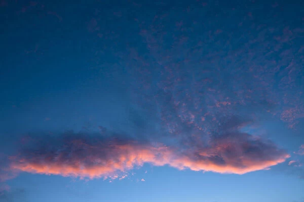 Blue sky with a pink cloud, sunset