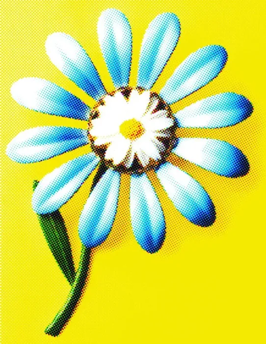 Framed Print : Blue and White Flower Framed Print : Blue and White Flower