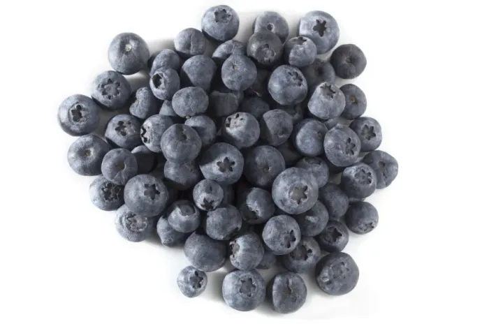 Framed Print : Blueberries Framed Print : Blueberries