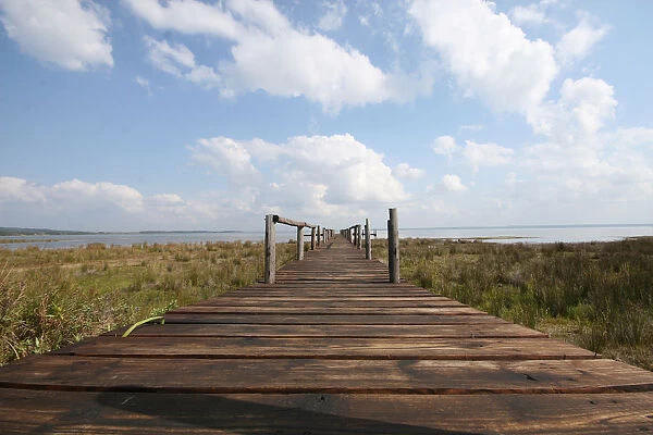 boardwalk, clouds, day, horizontal, landscape, nature, no people, non-urban scene, photography, st