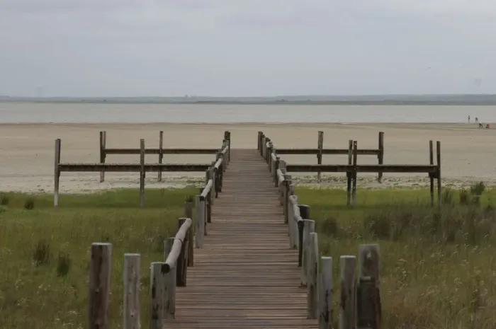 Framed Print : boardwalk, day, horizontal, landscape, nature, no people, non-urban scene, photography, st