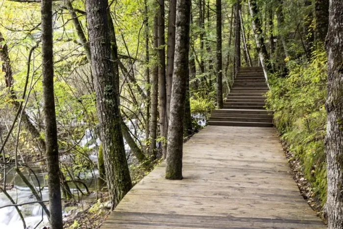 Framed Print : Boardwalk in Jiuzhaigou Valley forest Framed Print : Boardwalk in Jiuzhaigou Valley forest