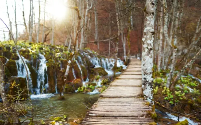 Framed Print : Boardwalk lined with waterfalls, Plitvice Lakes Framed Print : Boardwalk lined with waterfalls, Plitvice Lakes