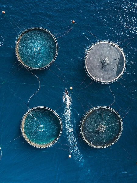 Boat inspecting a fish farm as seen from above, Lanzarote