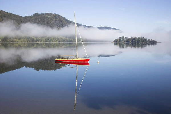 Boat on the lake, morning mist, Schliersee Lake, Schliersee, Upper Bavaria, Bavaria, Germany