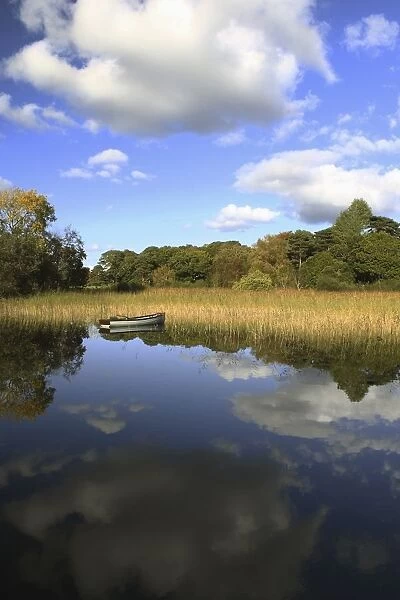 a boat sitting in the water along the tall grass in killarney national park in munster region