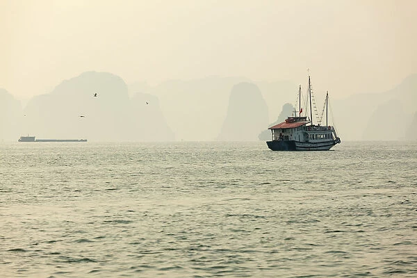boats cruising around karst in the world famous place halong bay in north Vietnam