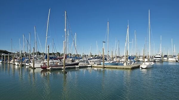 Boats in the harbour of Bayswater, Central Business District of Auckland and Skytower at the rear, Bayswater, Auckland, Auckland Region, New Zealand