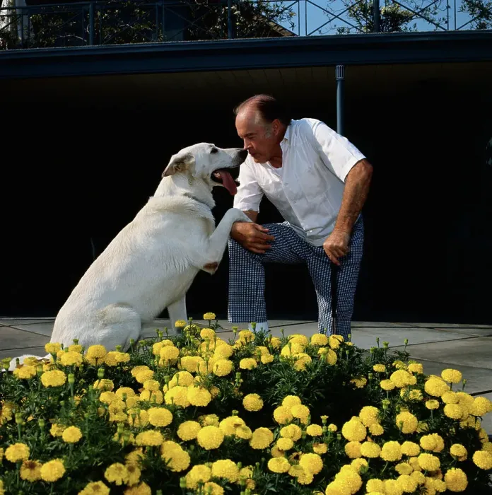 Framed Print : Bob Hope Playing with His Dog