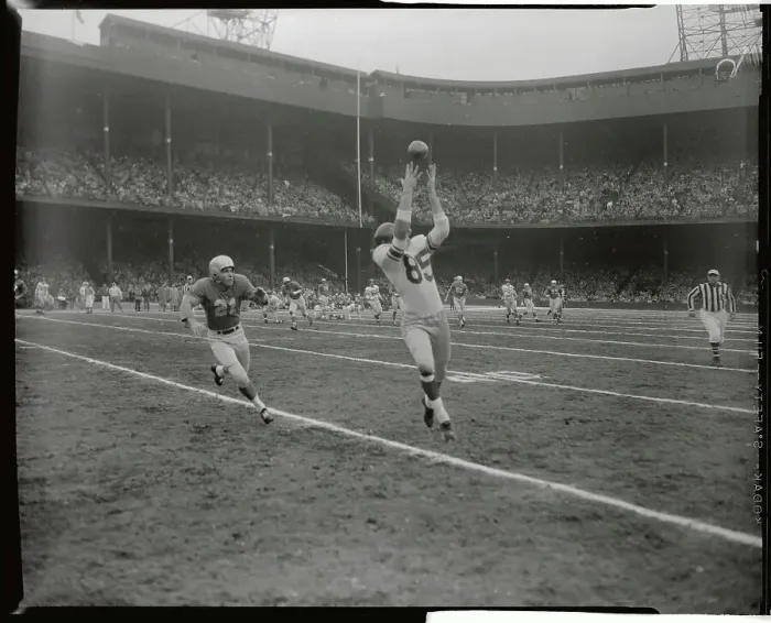 Framed Print : Bob Schnelker Reaching for Football Catch During Game Framed Print : Bob Schnelker Reaching for Football Catch During Game