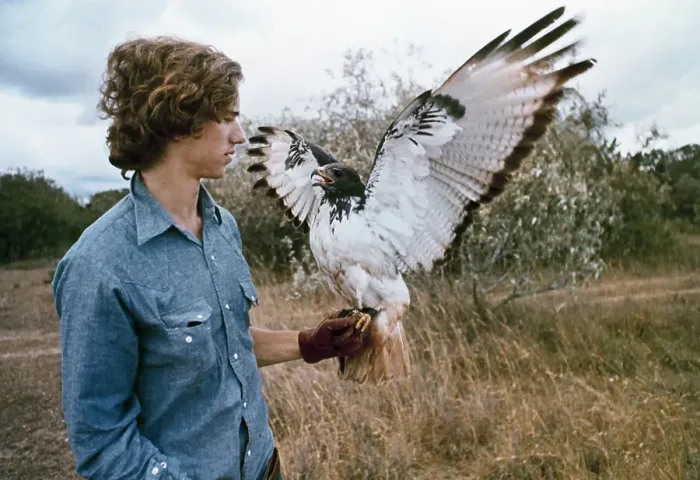 Framed Print : Bobby Kennedy Jr. Holding a Hawk Framed Print : Bobby Kennedy Jr. Holding a Hawk