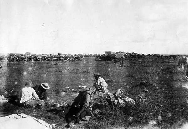 Boer War. circa 1899: A bullock waggon kraal