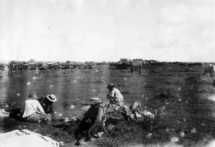 Framed Print : Boer War. circa 1899: A bullock waggon kraal Framed Print : Boer War. circa 1899: A bullock waggon kraal