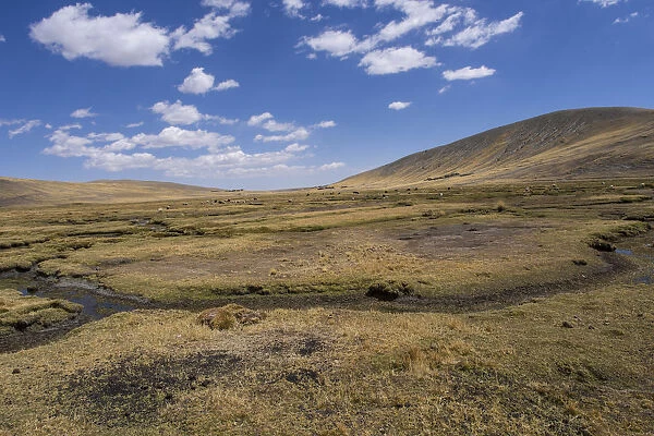 Bolivian plateau Altiplano, La Paz, Bolivia