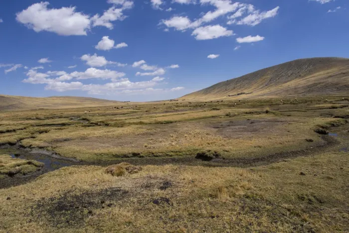 Framed Print : Bolivian plateau Altiplano, La Paz, Bolivia Framed Print : Bolivian plateau Altiplano, La Paz, Bolivia