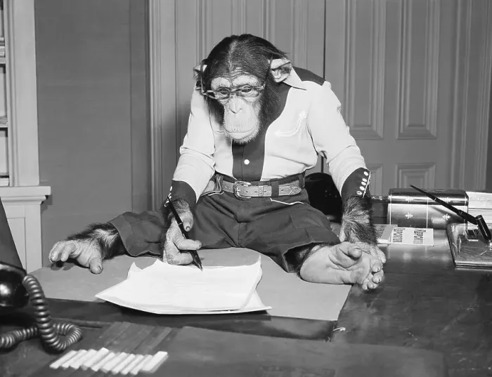 Framed Print : Bonzo The Chimp Signing Contract Framed Print : Bonzo The Chimp Signing Contract