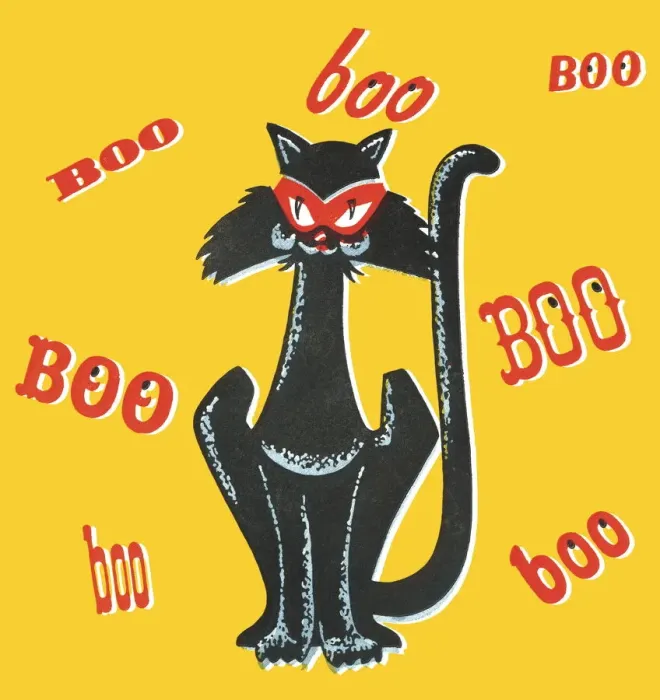 Framed Print : Boo black cat