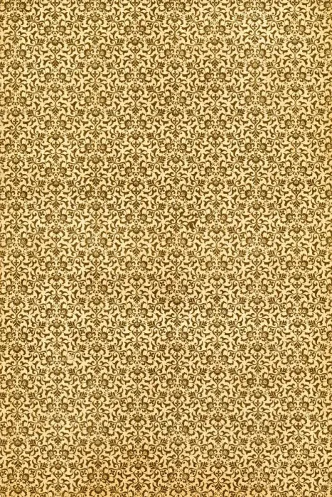 Framed Print : Book endpaper engraving Framed Print : Book endpaper engraving