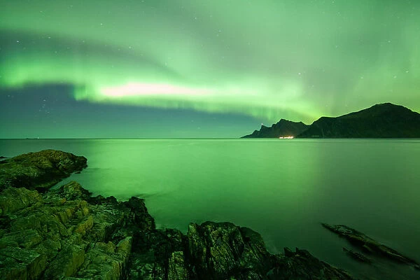 borealisgreen Norway extremely strong green northern lights Lofoten