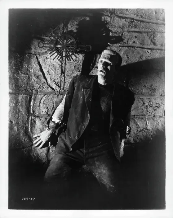 Framed Print : Boris Karloff In Bride Of Frankenstein Framed Print : Boris Karloff In Bride Of Frankenstein