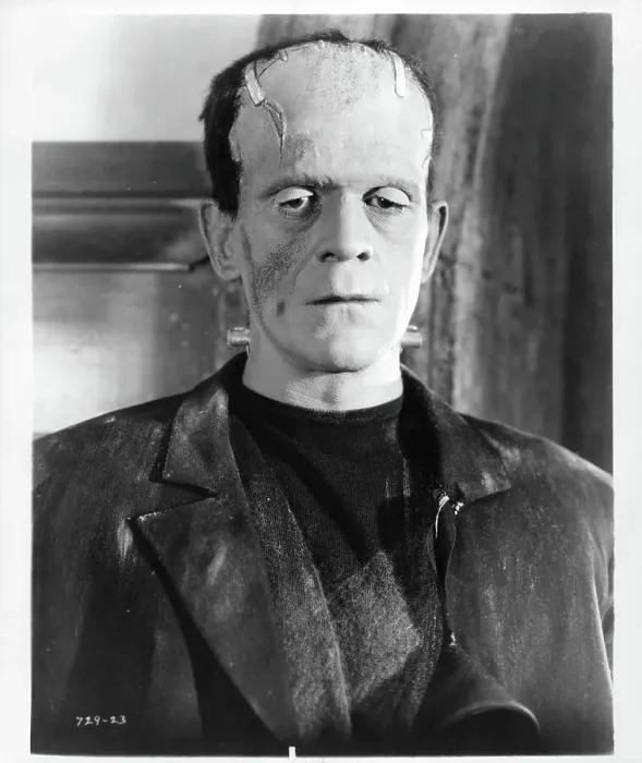 Framed Print : Boris Karloff In Bride Of Frankenstein Framed Print : Boris Karloff In Bride Of Frankenstein