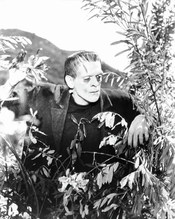 Framed Print : Boris Karloff In Frankenstein
