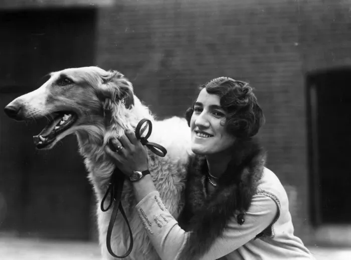 Framed Print : Borzoi Dog