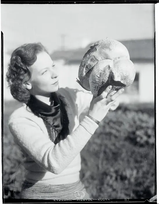 Framed Print : Botany Student Examining Gigantic Mushroom Framed Print : Botany Student Examining Gigantic Mushroom
