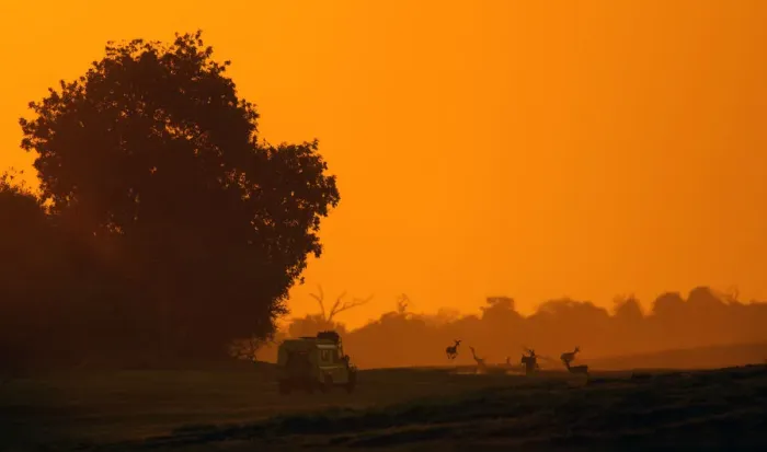 Framed Print : botswana, chobe, driving, dust, horizontal, landscape, no people, off-road vehicle