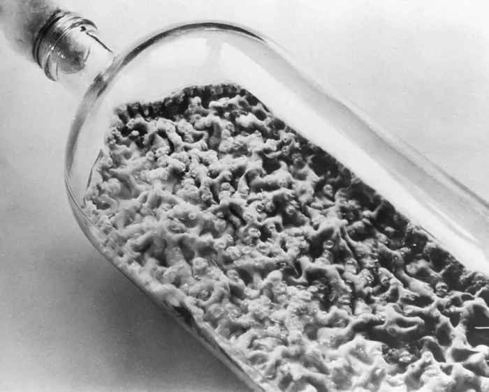 Framed Print : Bottle Full Of Penicillin Culture Framed Print : Bottle Full Of Penicillin Culture