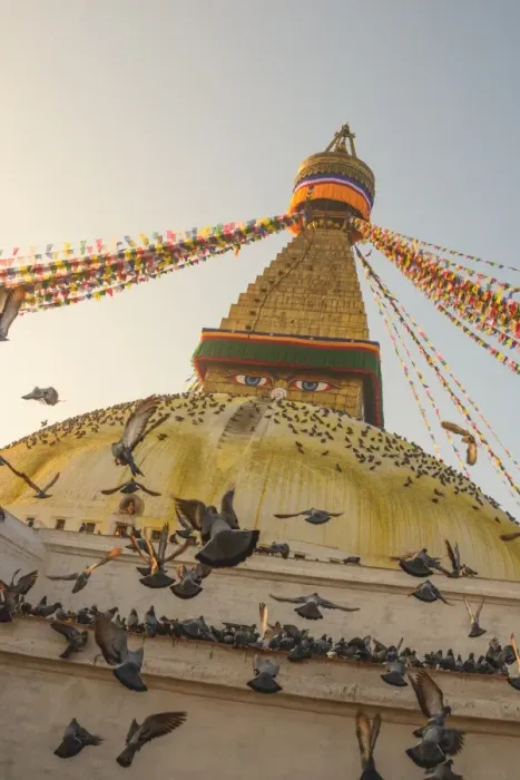 Framed Print : Boudhanath birds Framed Print : Boudhanath birds