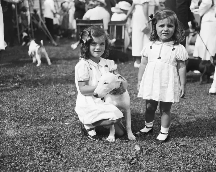 Framed Print : Bouvier Girls with Bull Terrier Framed Print : Bouvier Girls with Bull Terrier