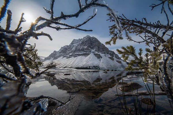 BOW LAKE with crowfoot mountain reflection
