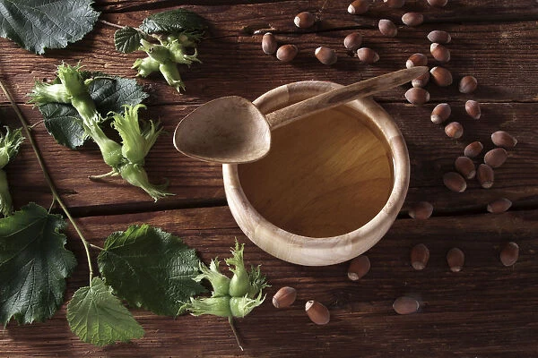 A bowl of hazelnut oil and some ripe and unripe hazelnuts (Corylus avellana) on rustic wooden boards