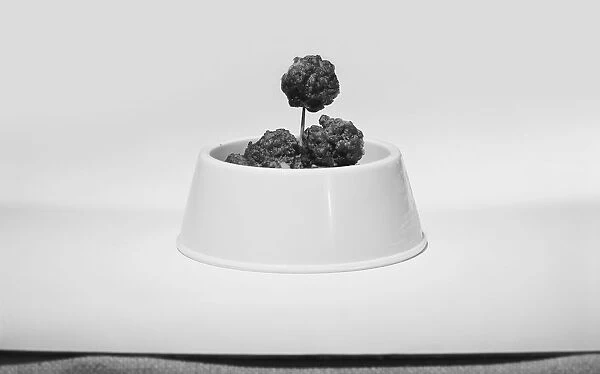 Bowl of meatballs against white background, close-up