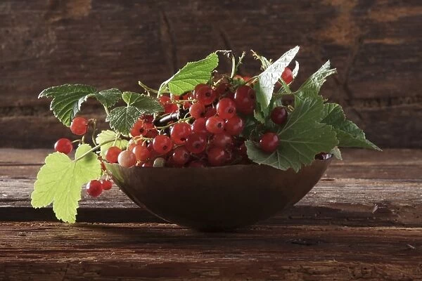 A bowl with red currants (Ribes rubrum) on a wooden background