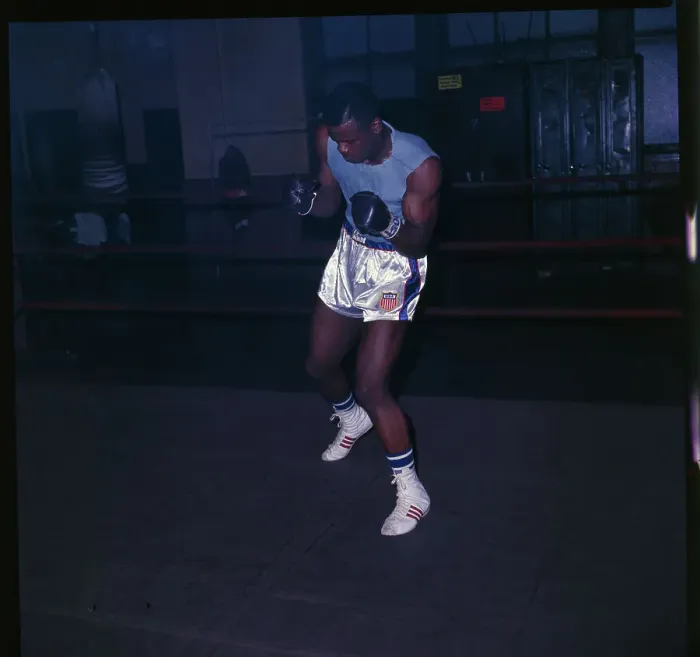 Framed Print : Boxer Forrest Lee Ward Framed Print : Boxer Forrest Lee Ward
