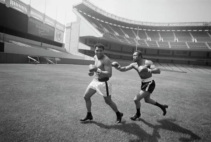 Framed Print : Boxer Ken Norton Chases Muhammad Ali in Yankee Stadium Framed Print : Boxer Ken Norton Chases Muhammad Ali in Yankee Stadium