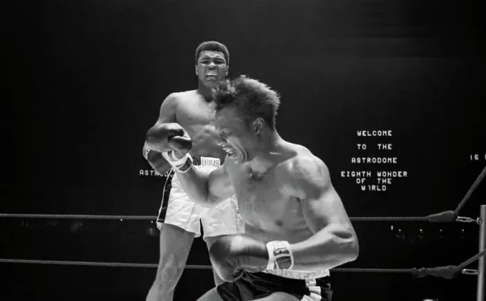 Framed Print : Boxer Muhammad Ali Knocking Out Cleveland Williams Framed Print : Boxer Muhammad Ali Knocking Out Cleveland Williams
