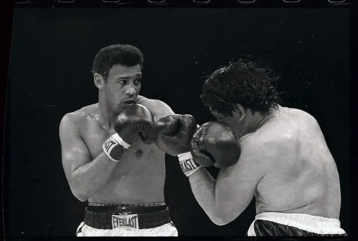 Framed Print : Boxers in Action Framed Print : Boxers in Action