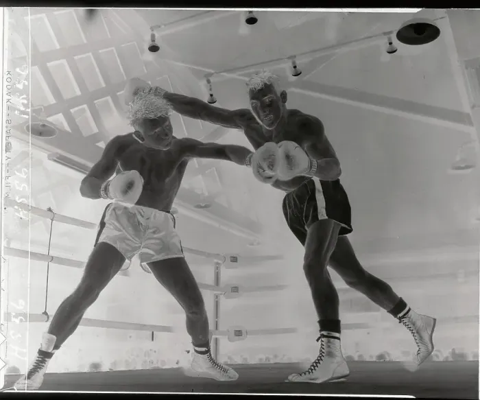 Framed Print : Boxers in Action With High Drive Moves Framed Print : Boxers in Action With High Drive Moves